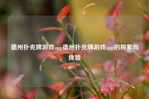 德州扑克牌游戏app德州扑克牌游戏app的探索与体验
