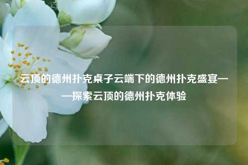 云顶的德州扑克桌子云端下的德州扑克盛宴——探索云顶的德州扑克体验