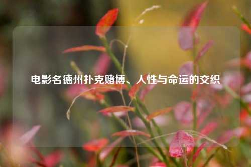 电影名德州扑克赌博、人性与命运的交织
