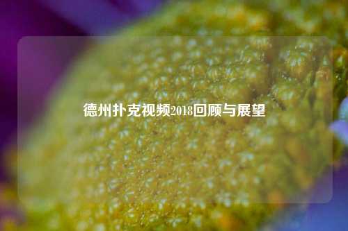 德州扑克视频2018回顾与展望