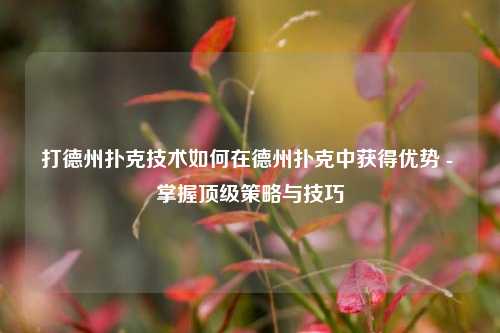 打德州扑克技术如何在德州扑克中获得优势 - 掌握顶级策略与技巧