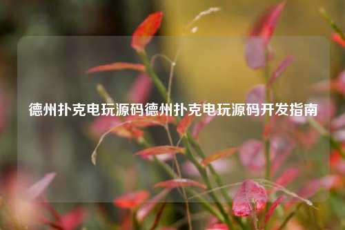 德州扑克电玩源码德州扑克电玩源码开发指南