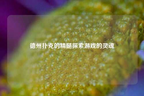 德州扑克的精髓探索游戏的灵魂