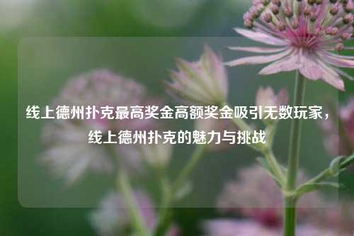 线上德州扑克最高奖金高额奖金吸引无数玩家，线上德州扑克的魅力与挑战