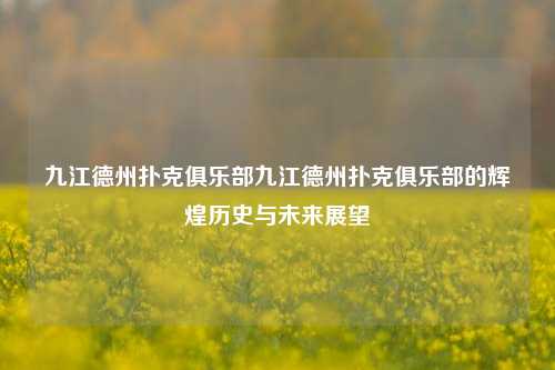 九江德州扑克俱乐部九江德州扑克俱乐部的辉煌历史与未来展望