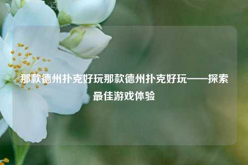 那款德州扑克好玩那款德州扑克好玩——探索最佳游戏体验