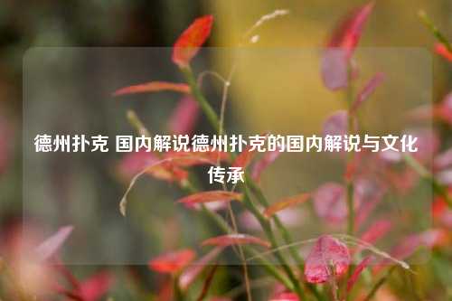 德州扑克 国内解说德州扑克的国内解说与文化传承