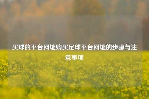 买球的平台网址购买足球平台网址的步骤与注意事项
