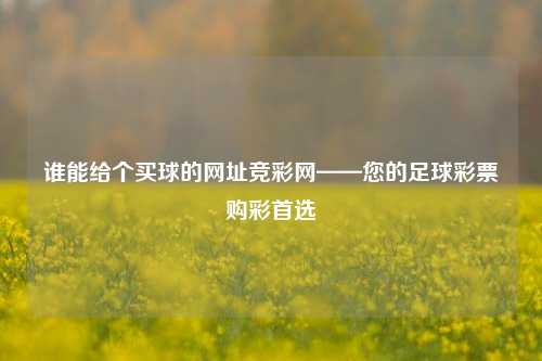 谁能给个买球的网址竞彩网——您的足球彩票购彩首选