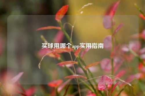买球用哪个app实用指南