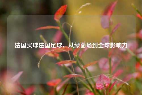 法国买球法国足球，从绿茵场到全球影响力