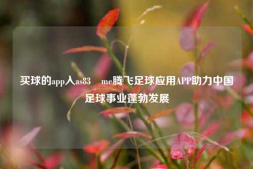 买球的app入as83婰me腾飞足球应用APP助力中国足球事业蓬勃发展