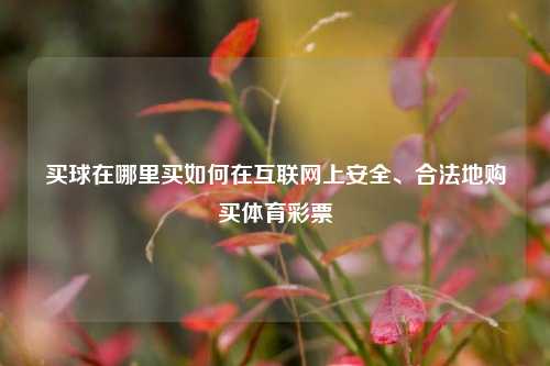 买球在哪里买如何在互联网上安全、合法地购买体育彩票
