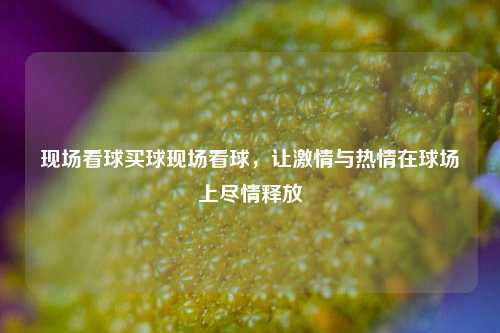 现场看球买球现场看球，让激情与热情在球场上尽情释放