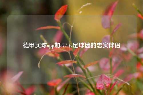 德甲买球app如c77 tv足球迷的忠实伴侣
