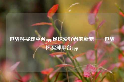 世界杯买球平台app足球爱好者的新宠——世界杯买球平台app