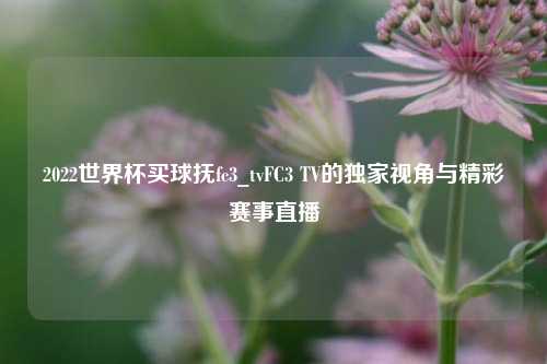 2022世界杯买球抚fc3_tvFC3 TV的独家视角与精彩赛事直播