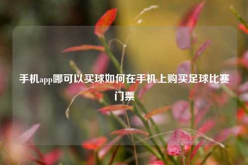 手机app哪可以买球如何在手机上购买足球比赛门票