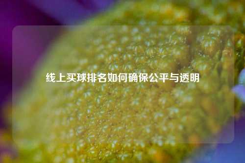 线上买球排名如何确保公平与透明