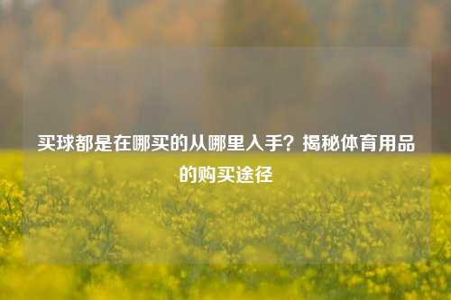 买球都是在哪买的从哪里入手？揭秘体育用品的购买途径