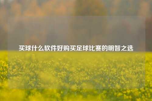 买球什么软件好购买足球比赛的明智之选