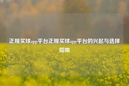 正规买球app平台正规买球app平台的兴起与选择指南