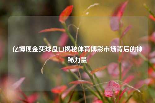 亿博现金买球盘口揭秘体育博彩市场背后的神秘力量