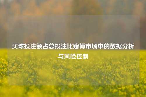 买球投注额占总投注比赌博市场中的数据分析与风险控制