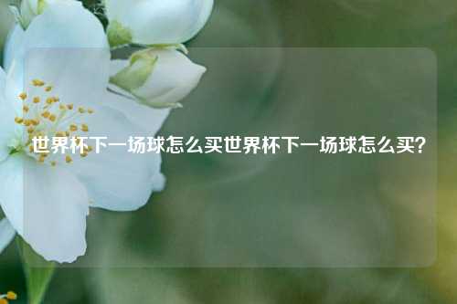 世界杯下一场球怎么买世界杯下一场球怎么买？