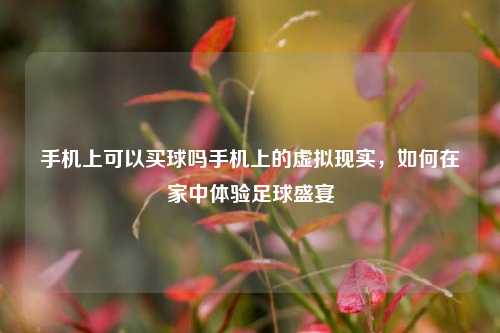 手机上可以买球吗手机上的虚拟现实，如何在家中体验足球盛宴
