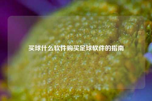 买球什么软件购买足球软件的指南