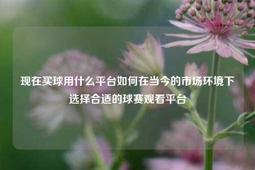 现在买球用什么平台如何在当今的市场环境下选择合适的球赛观看平台