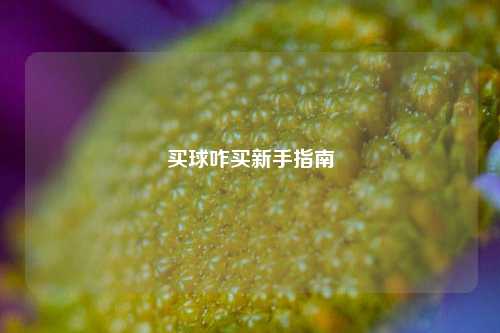 买球咋买新手指南