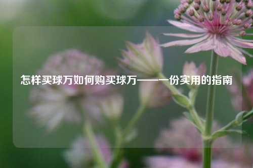 怎样买球万如何购买球万——一份实用的指南