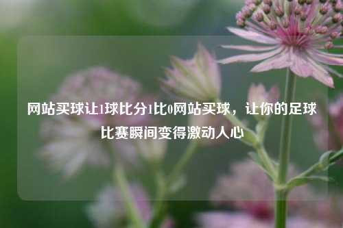 网站买球让1球比分1比0网站买球，让你的足球比赛瞬间变得激动人心