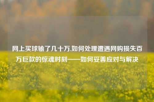 网上买球输了几十万,如何处理遭遇网购损失百万巨款的惊魂时刻——如何妥善应对与解决