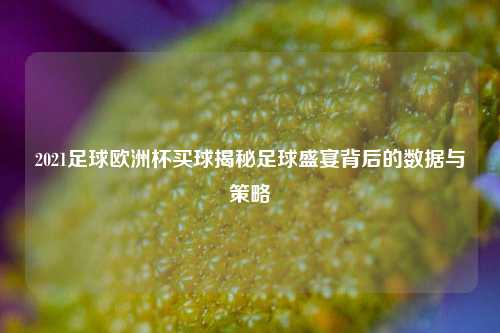 2021足球欧洲杯买球揭秘足球盛宴背后的数据与策略