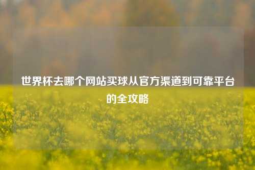 世界杯去哪个网站买球从官方渠道到可靠平台的全攻略