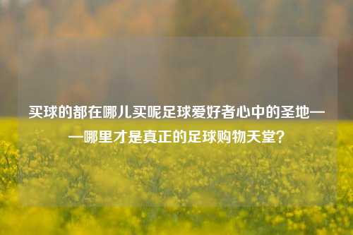买球的都在哪儿买呢足球爱好者心中的圣地——哪里才是真正的足球购物天堂？