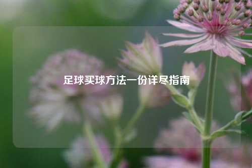 足球买球方法一份详尽指南