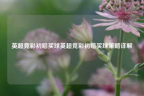 英超竞彩初赔买球英超竞彩初赔买球策略详解