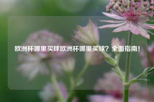 欧洲杯哪里买球欧洲杯哪里买球？全面指南！