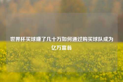 世界杯买球赚了几十万如何通过购买球队成为亿万富翁
