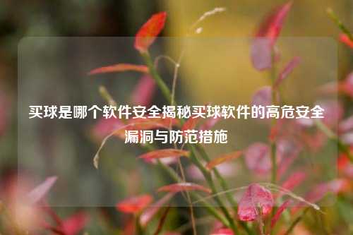买球是哪个软件安全揭秘买球软件的高危安全漏洞与防范措施