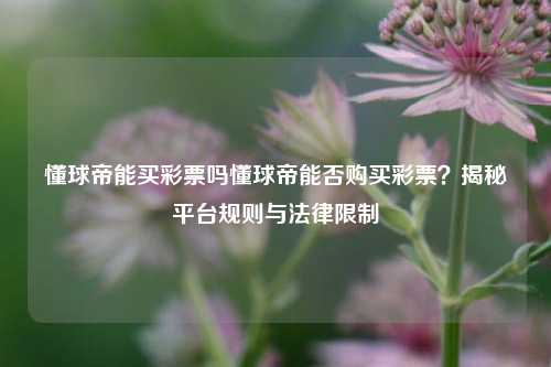 懂球帝能买彩票吗懂球帝能否购买彩票？揭秘平台规则与法律限制