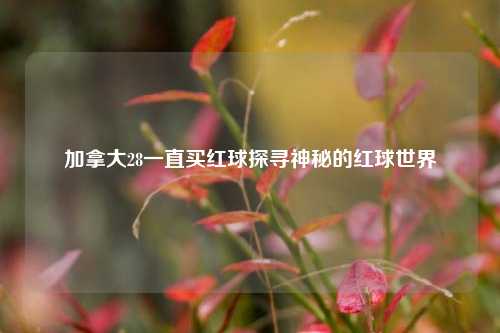 加拿大28一直买红球探寻神秘的红球世界