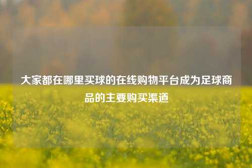 大家都在哪里买球的在线购物平台成为足球商品的主要购买渠道