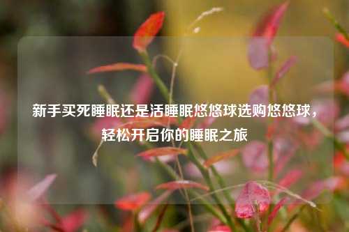 新手买死睡眠还是活睡眠悠悠球选购悠悠球，轻松开启你的睡眠之旅