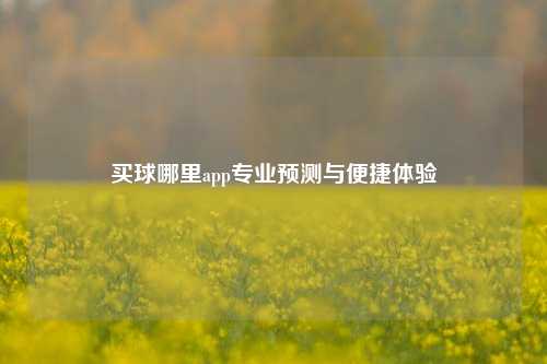 买球哪里app专业预测与便捷体验