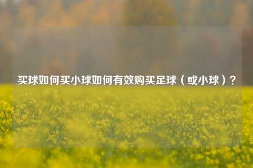 买球如何买小球如何有效购买足球（或小球）？
